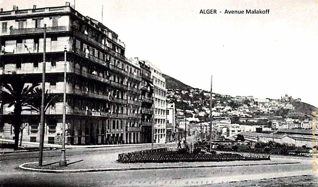 ALGER - AVENUE MALAKOFF.jpg